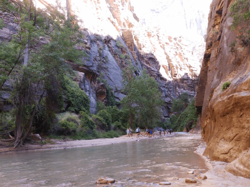 Trekking Narrows Zion