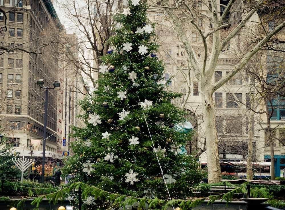 Árboles de Navidad en NY