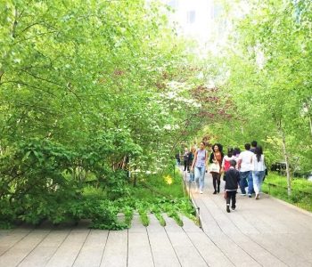 Pasear por la High Line, el parque elevado de NY